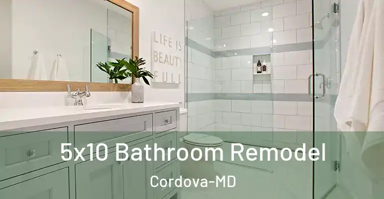 inner Bathroom imggen 5x10 Bathroom Remodel Cordova-MD