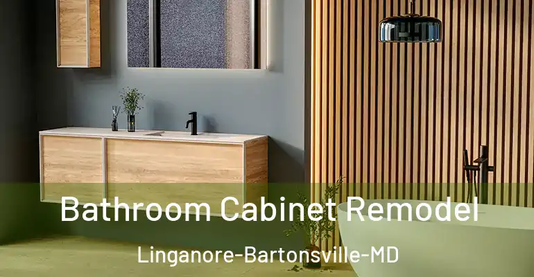 inner Bathroom imggen Bathroom Cabinet Remodel Linganore-Bartonsville-MD