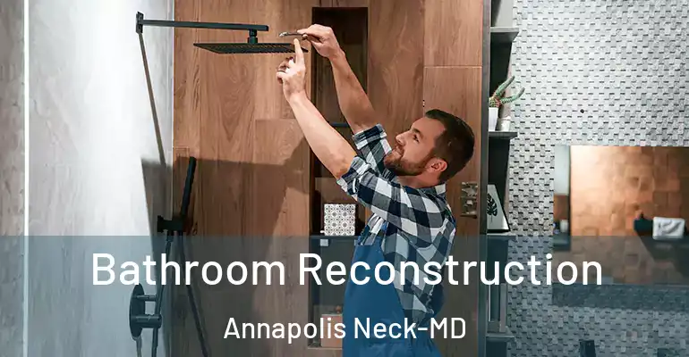 inner Bathroom imggen Bathroom Reconstruction Annapolis Neck-MD