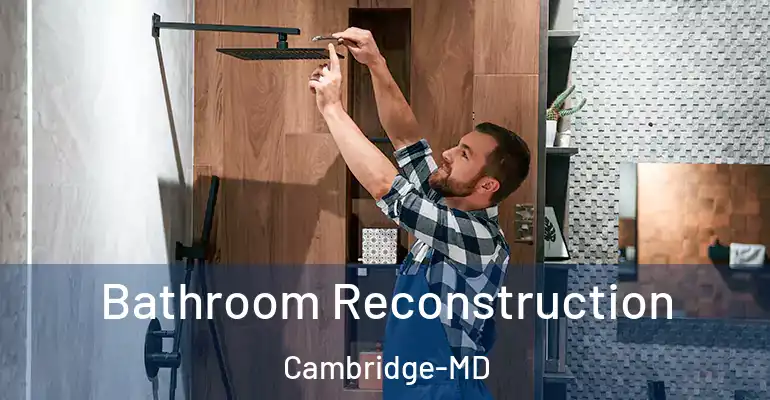 inner Bathroom imggen Bathroom Reconstruction Cambridge-MD