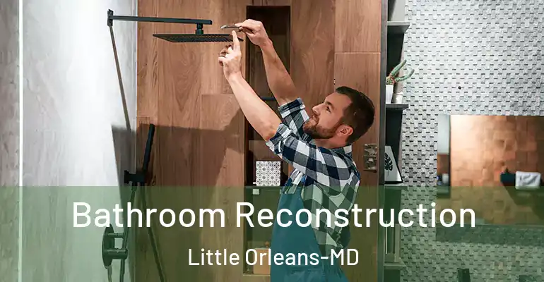 inner Bathroom imggen Bathroom Reconstruction Little Orleans-MD