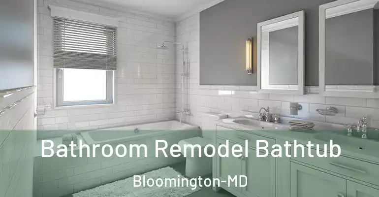 inner Bathroom imggen Bathroom Remodel Bathtub Bloomington-MD