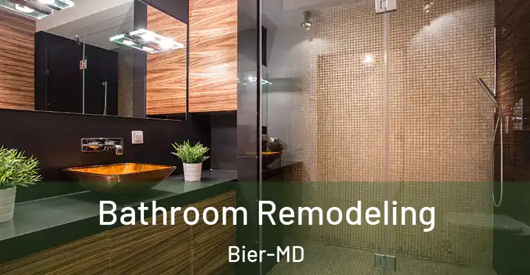 inner Bathroom imggen Bathroom Remodeling Bier-MD