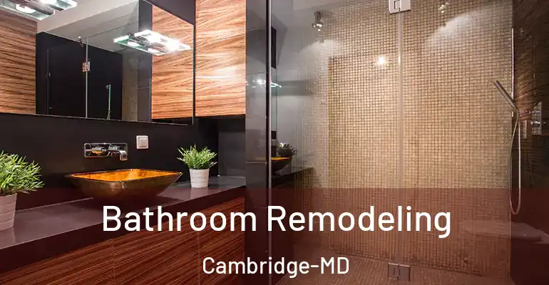 inner Bathroom imggen Bathroom Remodeling Cambridge-MD