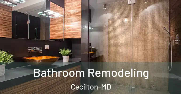 inner Bathroom imggen Bathroom Remodeling Cecilton-MD