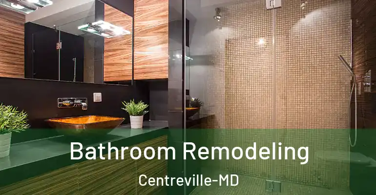 inner Bathroom imggen Bathroom Remodeling Centreville-MD