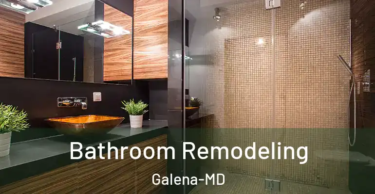 inner Bathroom imggen Bathroom Remodeling Galena-MD