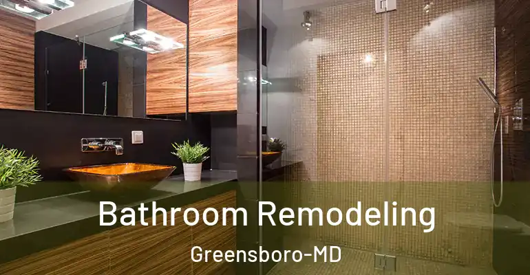 inner Bathroom imggen Bathroom Remodeling Greensboro-MD