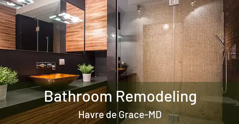 inner Bathroom imggen Bathroom Remodeling Havre de Grace-MD