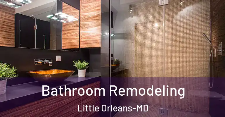 inner Bathroom imggen Bathroom Remodeling Little Orleans-MD