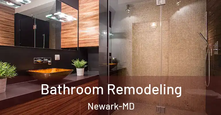 inner Bathroom imggen Bathroom Remodeling Newark-MD