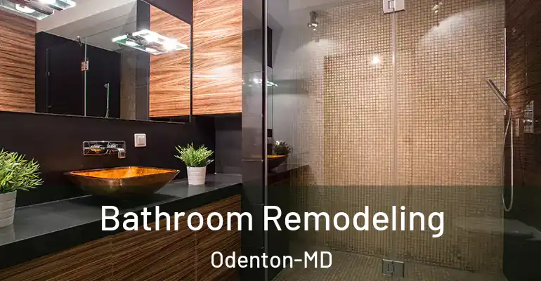 inner Bathroom imggen Bathroom Remodeling Odenton-MD