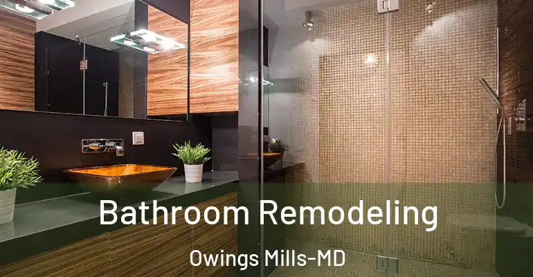 inner Bathroom imggen Bathroom Remodeling Owings Mills-MD