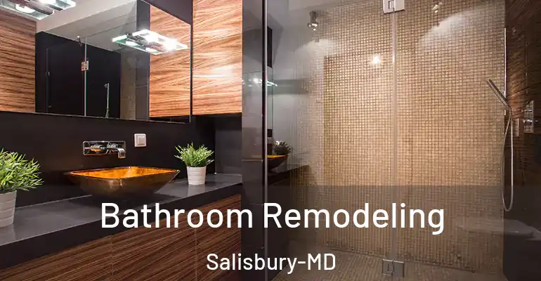 inner Bathroom imggen Bathroom Remodeling Salisbury-MD