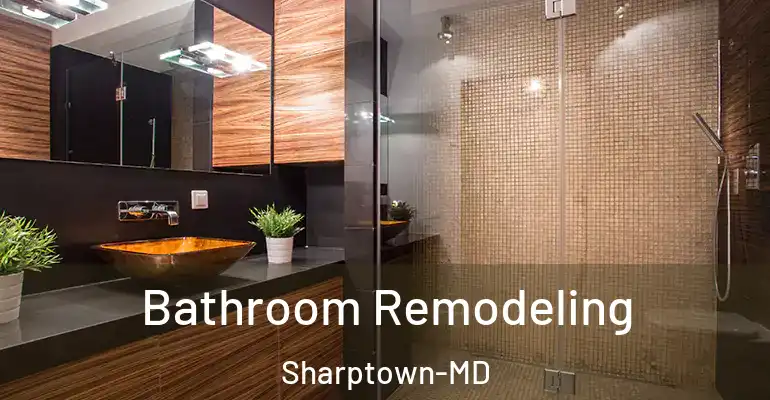 inner Bathroom imggen Bathroom Remodeling Sharptown-MD