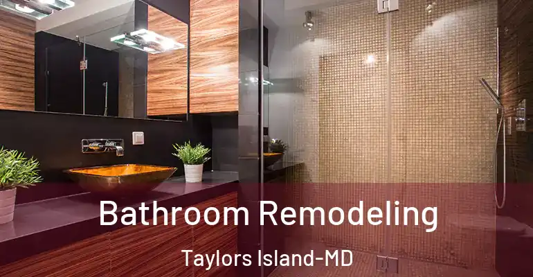 inner Bathroom imggen Bathroom Remodeling Taylors Island-MD
