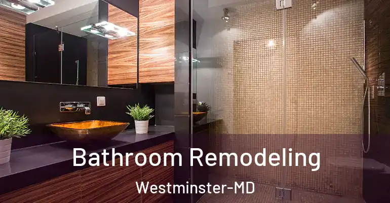 inner Bathroom imggen Bathroom Remodeling Westminster-MD
