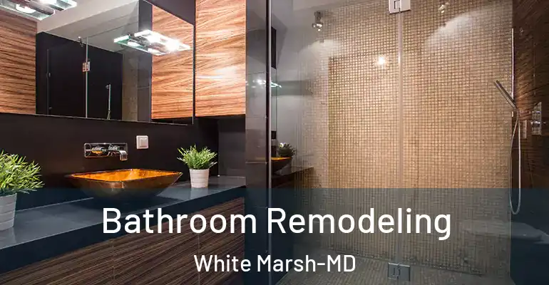 inner Bathroom imggen Bathroom Remodeling White Marsh-MD