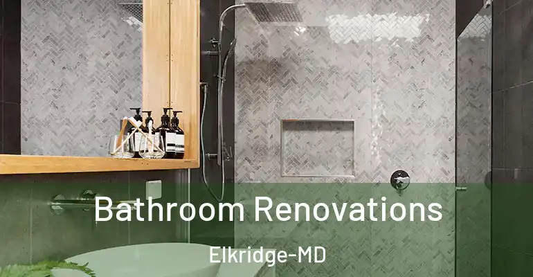 inner Bathroom imggen Bathroom Renovations Elkridge-MD