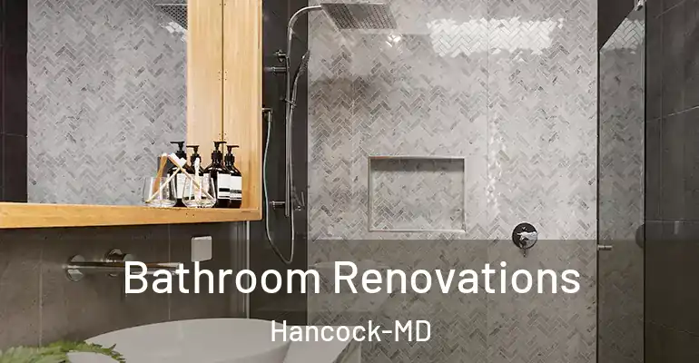 inner Bathroom imggen Bathroom Renovations Hancock-MD