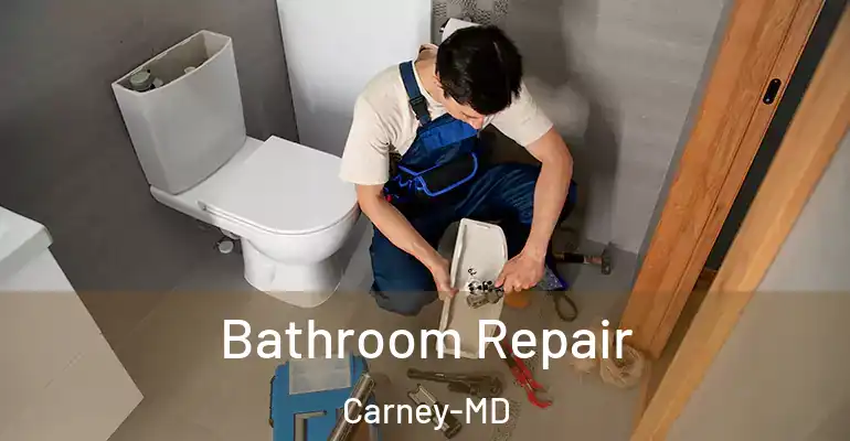 inner Bathroom imggen Bathroom Repair Carney-MD