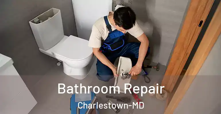 inner Bathroom imggen Bathroom Repair Charlestown-MD