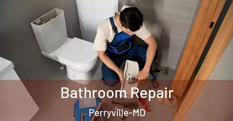inner Bathroom imggen Bathroom Repair Perryville-MD