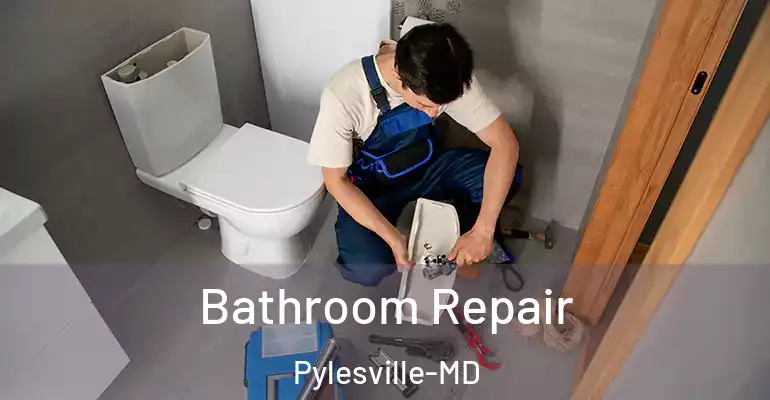 inner Bathroom imggen Bathroom Repair Pylesville-MD