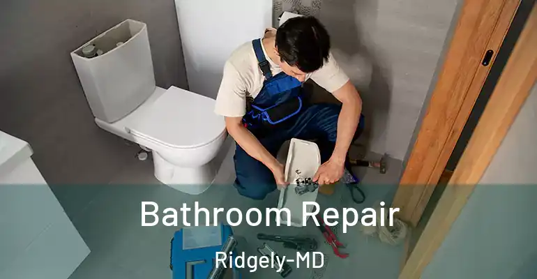 inner Bathroom imggen Bathroom Repair Ridgely-MD