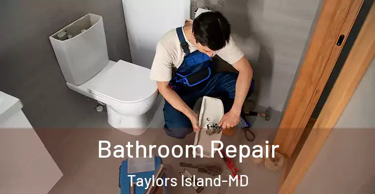 inner Bathroom imggen Bathroom Repair Taylors Island-MD