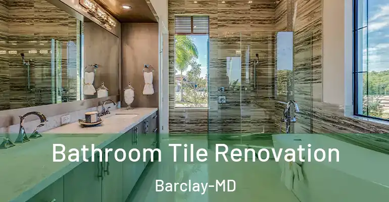 inner Bathroom imggen Bathroom Tile Renovation Barclay-MD