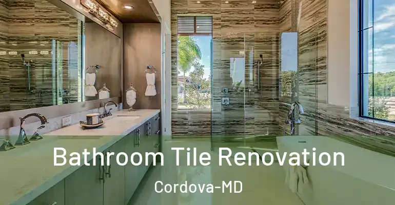 inner Bathroom imggen Bathroom Tile Renovation Cordova-MD