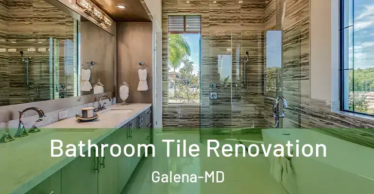 inner Bathroom imggen Bathroom Tile Renovation Galena-MD