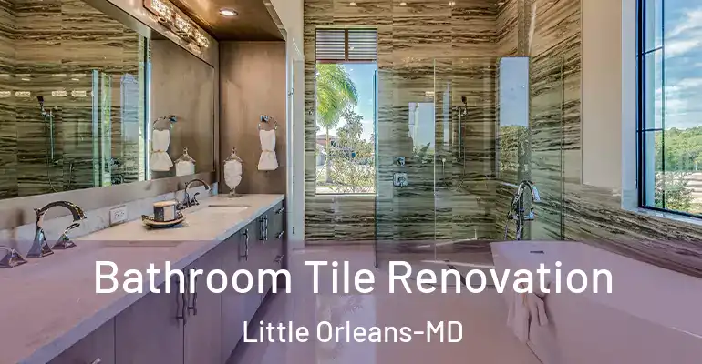 inner Bathroom imggen Bathroom Tile Renovation Little Orleans-MD