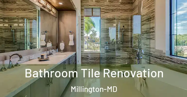 inner Bathroom imggen Bathroom Tile Renovation Millington-MD