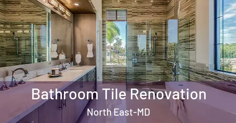 inner Bathroom imggen Bathroom Tile Renovation North East-MD