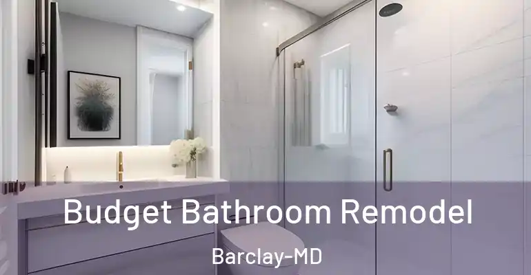 inner Bathroom imggen Budget Bathroom Remodel Barclay-MD