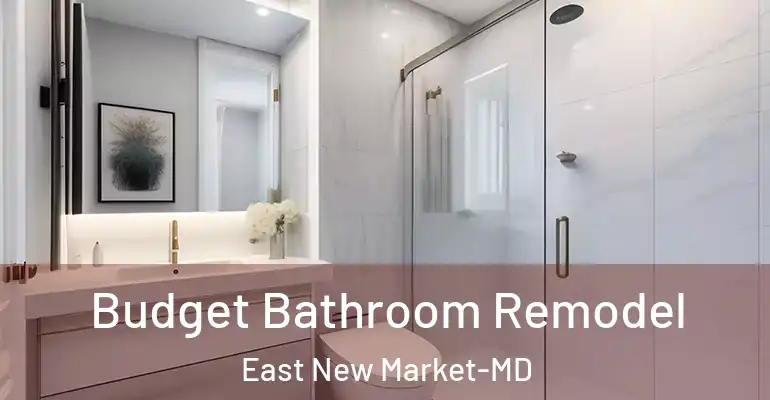 inner Bathroom imggen Budget Bathroom Remodel East New Market-MD
