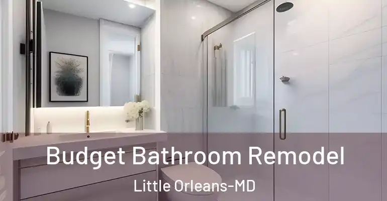 inner Bathroom imggen Budget Bathroom Remodel Little Orleans-MD