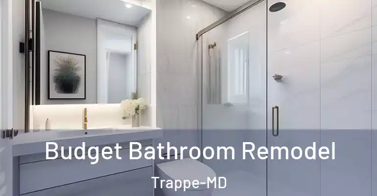inner Bathroom imggen Budget Bathroom Remodel Trappe-MD