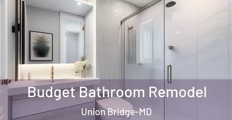 inner Bathroom imggen Budget Bathroom Remodel Union Bridge-MD