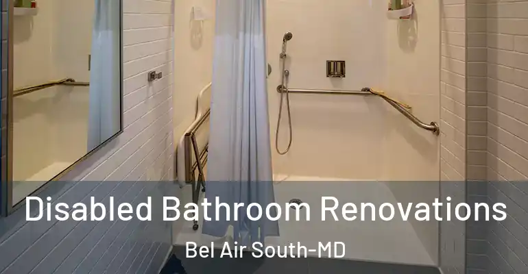 inner Bathroom imggen Disabled Bathroom Renovations Bel Air South-MD