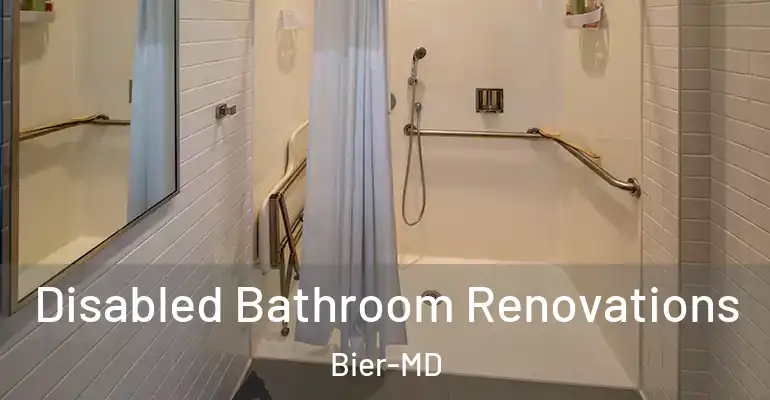 inner Bathroom imggen Disabled Bathroom Renovations Bier-MD