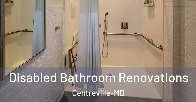inner Bathroom imggen Disabled Bathroom Renovations Centreville-MD