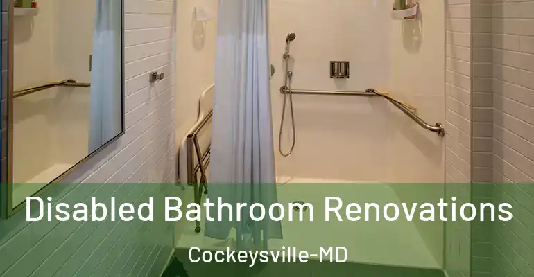 inner Bathroom imggen Disabled Bathroom Renovations Cockeysville-MD