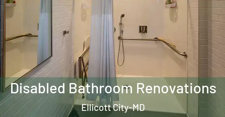 inner Bathroom imggen Disabled Bathroom Renovations Ellicott City-MD