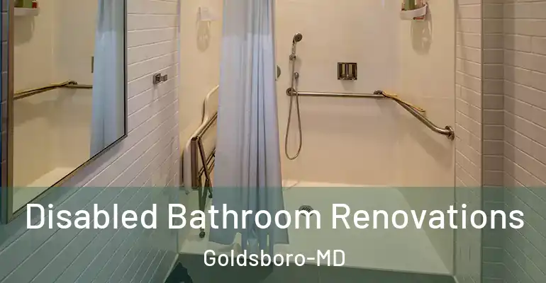 inner Bathroom imggen Disabled Bathroom Renovations Goldsboro-MD