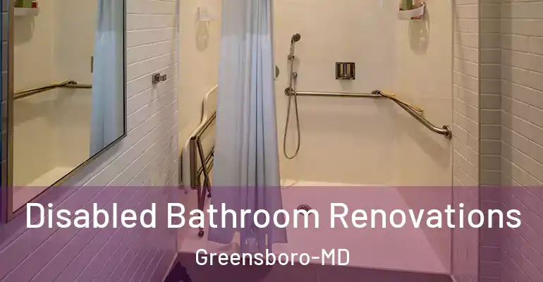 inner Bathroom imggen Disabled Bathroom Renovations Greensboro-MD