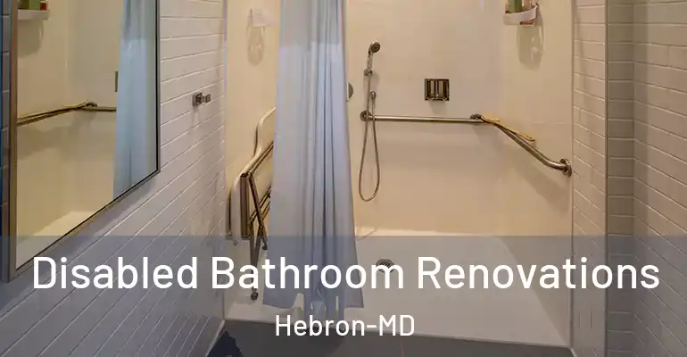 inner Bathroom imggen Disabled Bathroom Renovations Hebron-MD