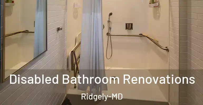 inner Bathroom imggen Disabled Bathroom Renovations Ridgely-MD